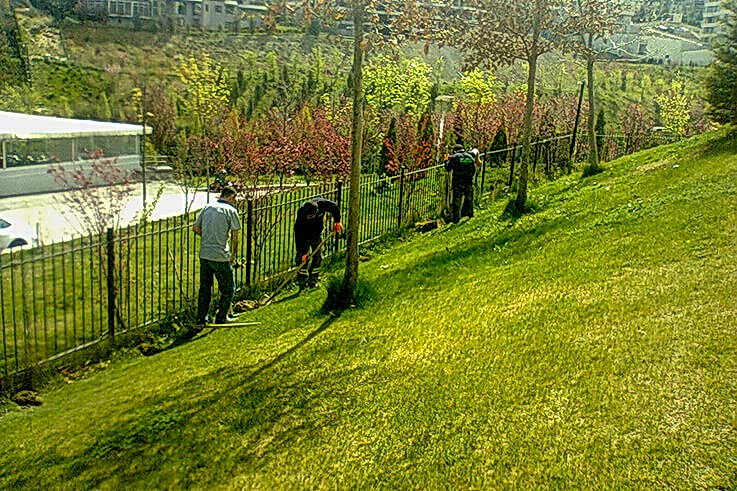 park temizliği