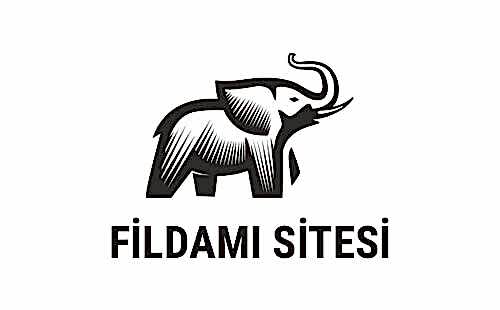 fildamı sitesi güvenlik