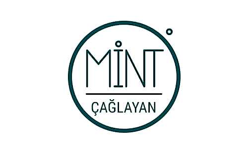 mint çağlayan güvenlik