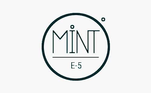 mint e5 güvenlik